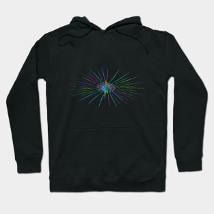 Explosion of Colour Hoodie